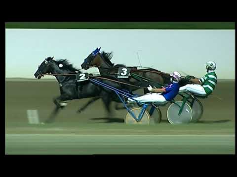 Napoli Trotto 20/08/2021 - 3ª corsa