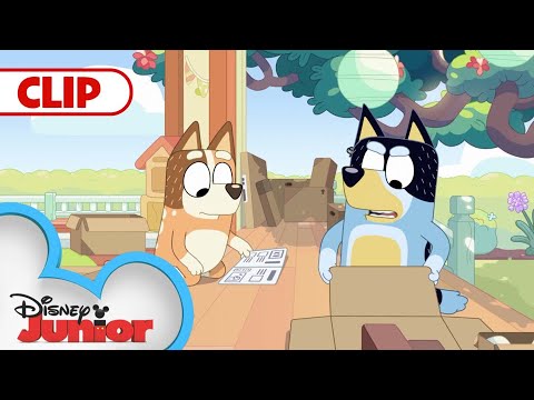 Flat Pack ???? | Bluey | @Disney Junior