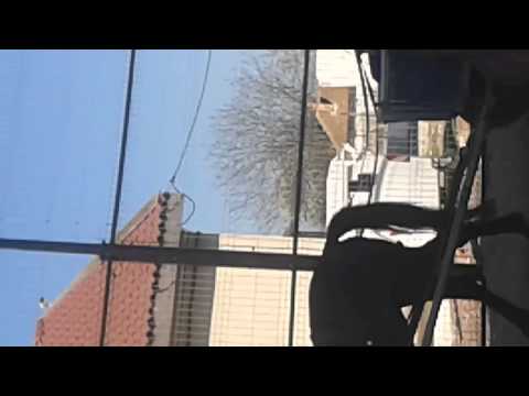 Maximilian Feat. Spike & Zhao Domnisoare - Demo