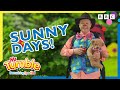 Sunny Days Out ️ Mr Tumble And Friends
