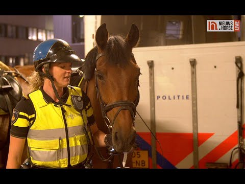 De paarden van de bereden politie