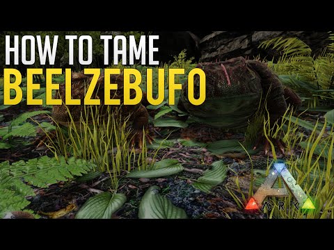 Easy Beelzebufo Taming | Ark Survival Evolved guide