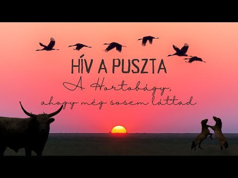 The wilderness is calling | Hortobágy as you've never seen it before