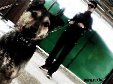 Дисс тузикке ReX DuFlow [feat. McRain].