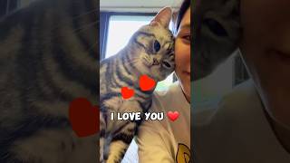 Download lagu How Cats Say I LOVE U 💕 #shorts mp3 Download lagu How Cats Say I LOVE U 💕 #shorts mp3
