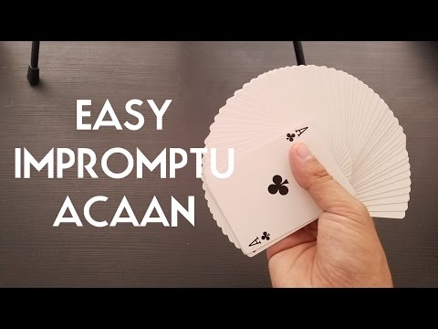 EASY IMPROMPTU ACAAN PigCake Tutorials