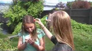 The Social Butterfly