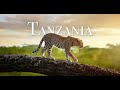 Tanzania A Country With Exotic Wildlife And Rich Culture