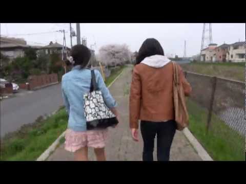 政治経済学科 【桜 Ver.】日進駅から聖学院大学まで（徒歩編）