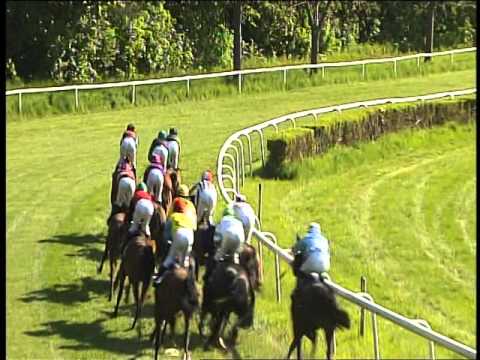 Galopprennbahn Dresden - 07.05.2016 - 5.Rennen