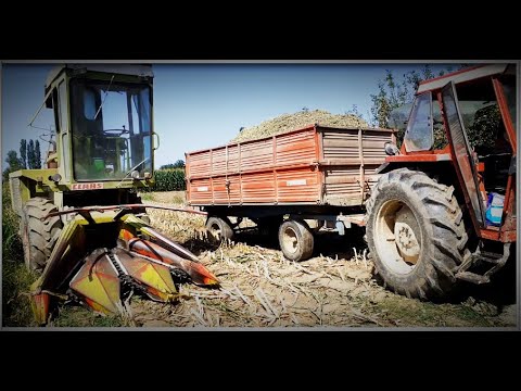 CLAAS JAGUAR 70 SF/Sabar Dashja&FIATAGRI 110-90 DT/Elhamet Kameri[Silage 2020]