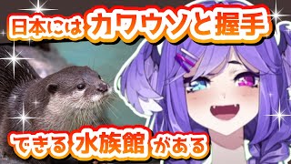 日本でカワウソと握手がしたいセレン龍月だったが…？【にじさんじEN / 雑談】