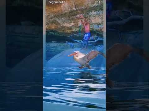 #magicka.Poço Feio, Várzea Grande Piaui..