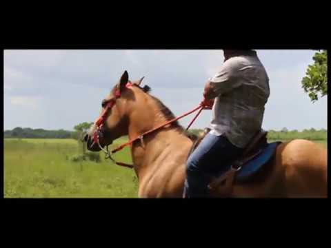 Viva El Coleo - Villamil Torres (El Azulejo del Llano)