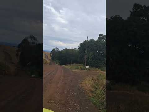 estrada que liga nova cantu pr ao distrito de santo rei e comunidades.