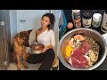 Best Homemade Food For German Shepherd Download Videos Mp3 and Mp4