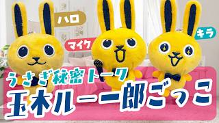 玉木雄一郎の説明、専門用語多すぎ問題！カタカナ英語を使いすぎる大人をぬいぐるみが完全再現してみた結果ｗｗ