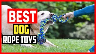 ✅Top 5 Best Dog Rope Toys in 2026