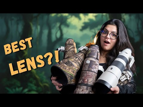 I Have Tried Every Lens: Here is What Actually Works | BEST LENSES FOR WILDLIFE PHOTOGRAPHY