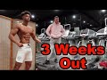 3 weeks out | Summer Shredding Prep | Posing Practice