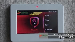 Small Business Security Systems
