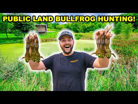 BULLFROG Hunting on PUBLIC LAND Challenge!!! (Catch Clean Cook)