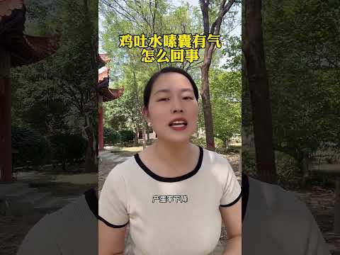 #鸡吐水嗉囊有气怎么回事 #科学养鸡 #散养土鸡 #鸡嗉囊炎 #科普 #鸡 #搞笑 #科普 #鸡 #搞笑