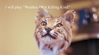 Fields Of Our Home - The Tallest Man on Earth Live on Youtube