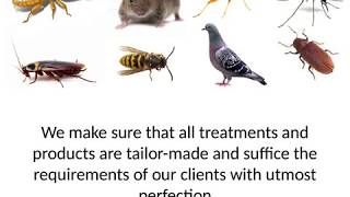 Friendly Pest Control Services