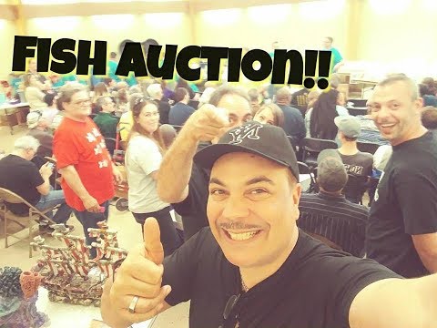 Spring Tropical Fish Auction