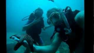 Isla Tortuga: El lugar perfecto para bucear