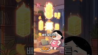 넷플 화제작 '빅 치킨' 본 사람만 아는 충격 — 치킨+맥주 조합이 더 살찌는 의학적 이유