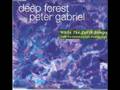 Deep Forest While the Earth Sleeps (Junior's X ...