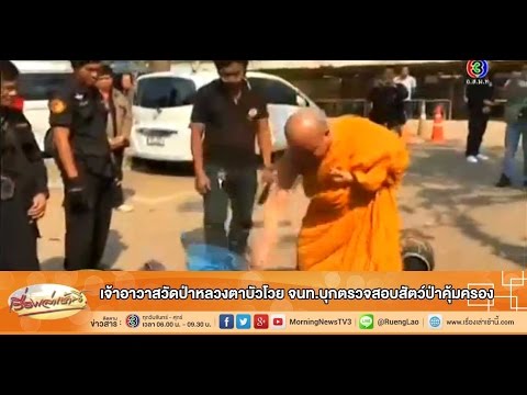 คลิกเพื่อดูคลิปวิดีโอ