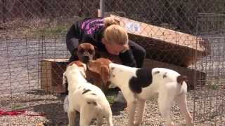 preview picture of video 'Free to Be Me - Puppy Mill Rescue Dogs Now Thriving!'