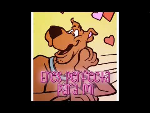 Eres Perfecta Miclo 2018