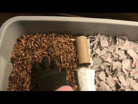 New Migration Method Worm Bin