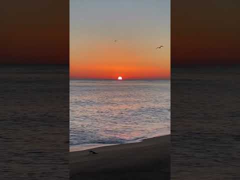 “Life takes you down many paths but my favorite ones lead to the beach.”