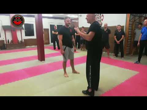 "Reality of Knife Attacks" Vadim Starov Spetsnaz vs Wing Chun-Schule in Deutschland 2019