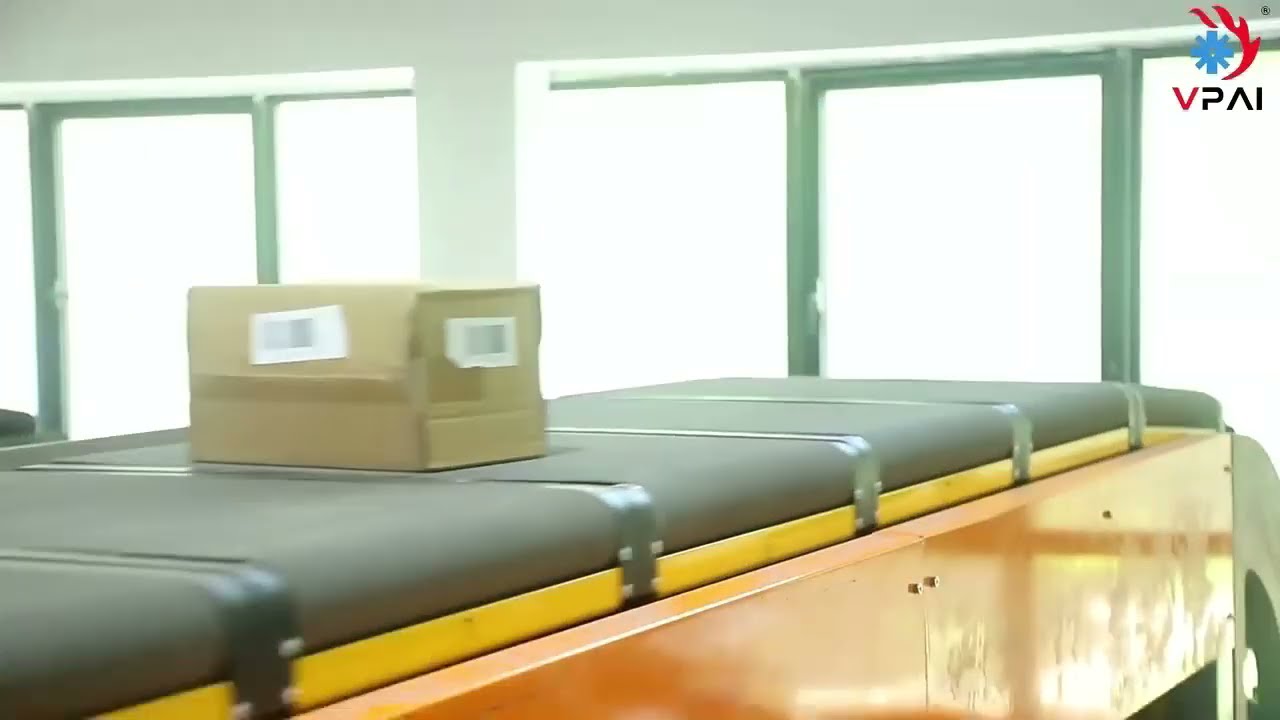 Dynamic E-Commerce Logistics Barcode Parcel Weighing Scanner Sorting DWS System Machine in Action!