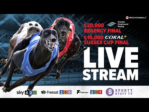£20,000 Premier Greyhound Racing Regency | Live Greyhound Racing | Racing Post Greyhound TV