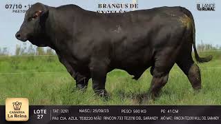 LOTE 27  3261