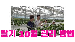 청양 자연이팜 딸기 농자!! 딸기별!! 여기도 순창 자연이팜과 함께 재배하는 농장 생육이 너무 좋아 앞으로의…