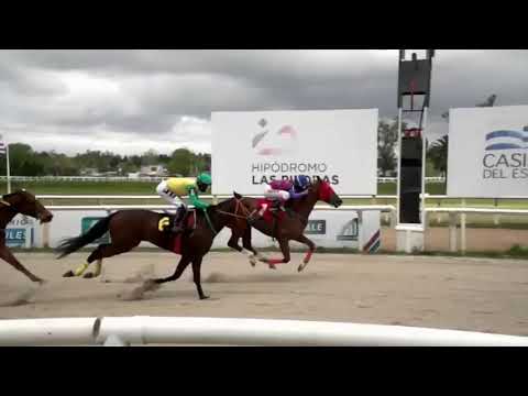 CARRERAS MARONAS 18/10/2020 -  WWW.MARONASONLINE.COM