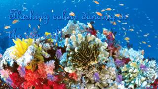 Great Barrier Reef MORE please gameplay video by anniep71, 3:53 duration