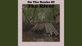 Night Time on the Desert