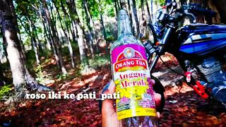 Download lagu setatus WA kekinian | bukan kaleng kaleng mp3