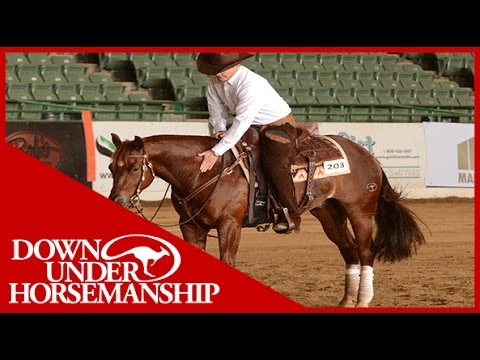 Hez The Kats Meow, 2015 Tulsa Reining Classic Open Futurity - Downunder Horsemanship