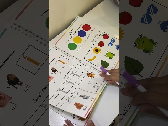 المذكرة الشاملة ( عربي )