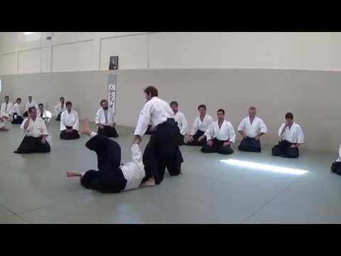 Sensei Pascal Guillemin Seminar in Aikido Academy June 2014